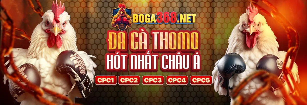 Sân đá gà kịch tính trên Daga68 iOS với các trận đấu hấp dẫn
